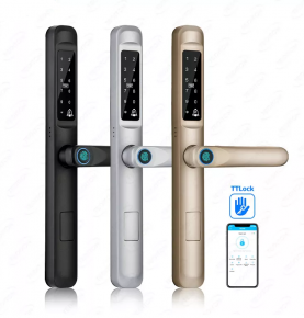 Waterproof Smart Door Lock Aluminum Biometric lock fingerprint door handle Digital Keyless lock for Glass Sliding
