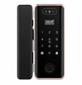 3D Face Recognition Glass Door Lock Factory Manufacturer Password Key Fingerprint Card Lock Biometric Fully Automatic Frameless Smart Lock
