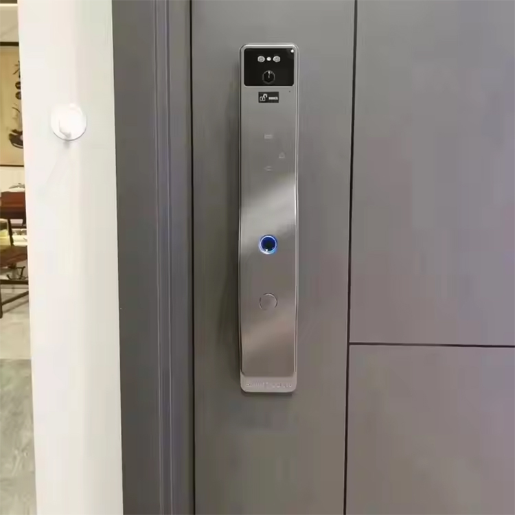 3D face recognition + remote cat's eye-3.jpg