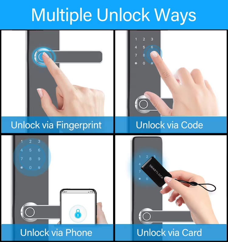 1743241399830764.jpg Biometric Fingerprint Smart Digital Smart Door Lock-22.jpg
