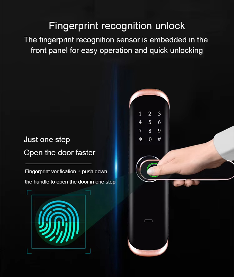 1743477573698793.jpg Biometric Password Digital Door Lock-10.jpg