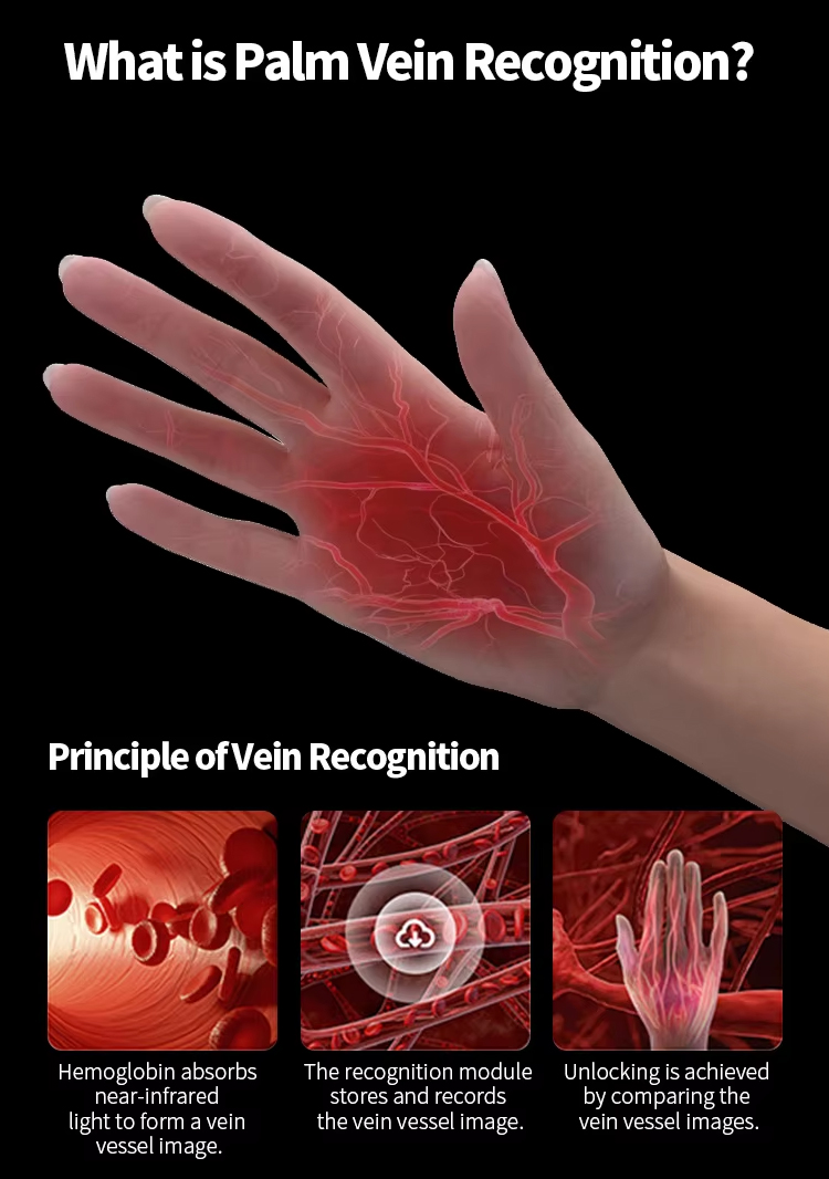 Palm Vein 3D Face Recognition Smart Lock-10.jpg
