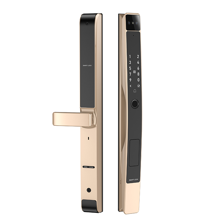 1747707036538590.jpg Broken bridge aluminium intelligent lock (2).jpg