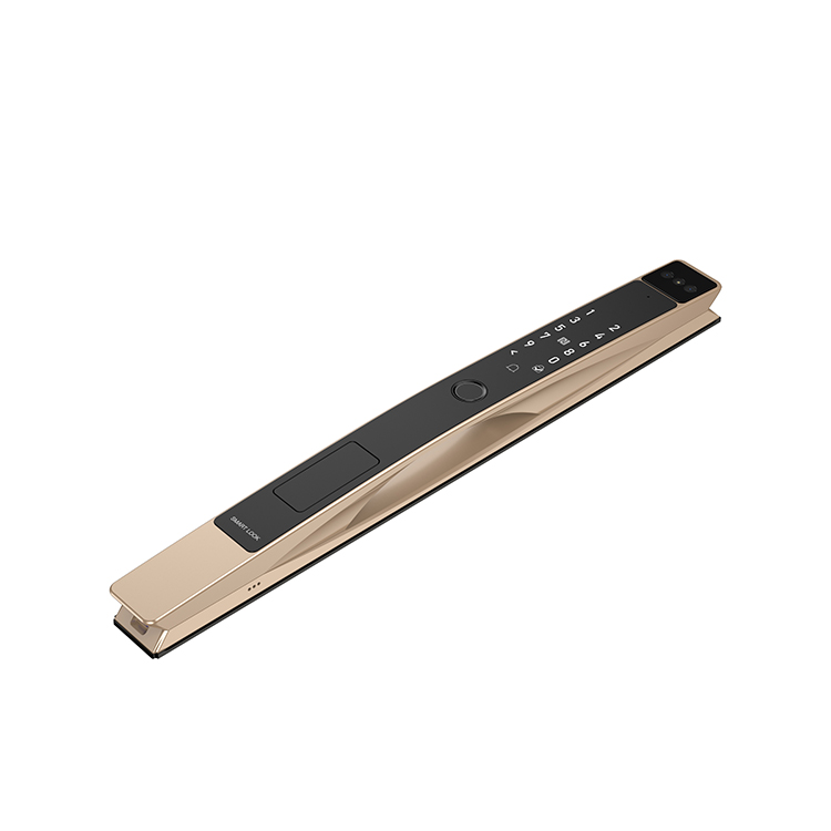 1747707045589917.jpg Broken bridge aluminium intelligent lock (6).jpg