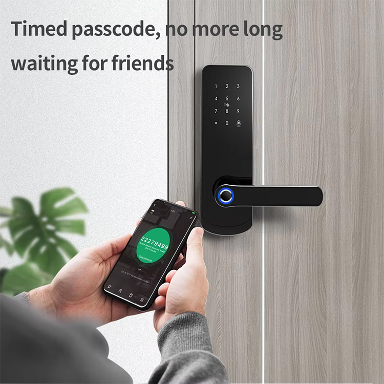 1749528365275268.jpg smart lock liwo (5).jpg