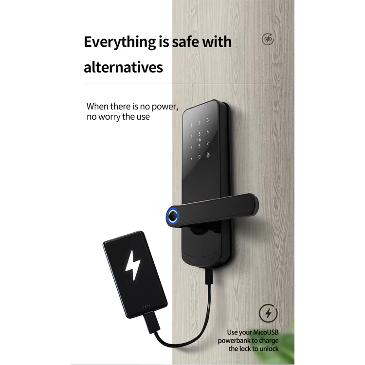 1749528568972552.jpg smart lock liwo (4).jpg