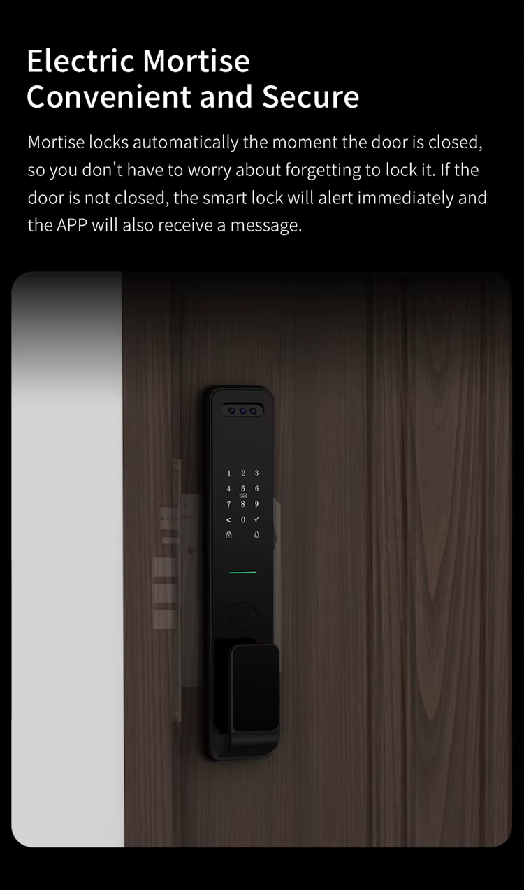 1765271793147511.jpg 3D Face Smart Lock (10).jpg
